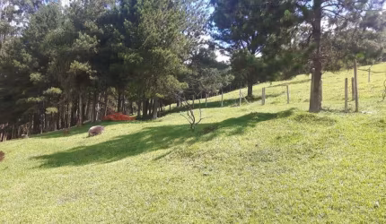 Chácara para Venda em Ibiúna, Carmo Messias