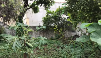 TERRENO LAUZANE PAULISTA  375 M² ZC
