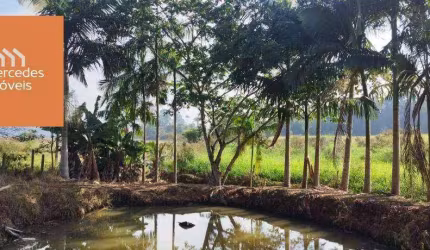 Sítio à venda, 5000 m² por R$ 670.000 - Brilhante I - Itajaí/SC