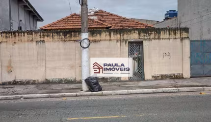 Terreno à venda, 577 m² por R$ 1.550.000 - Parque Edu Chaves - São Paulo/SP