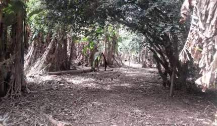 Sua Chácara dos Sonhos em Campinas: Espaço, Conforto e Natureza em Harmonia!