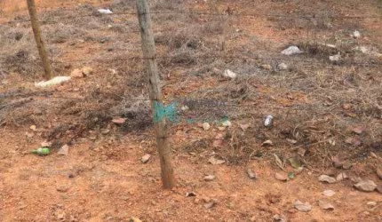 Terreno à venda, 270 m² por R$ 180.000,00 - Moradas da Lapinha - Lagoa Santa/MG
