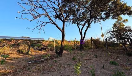 Lote Comercial - BR 381