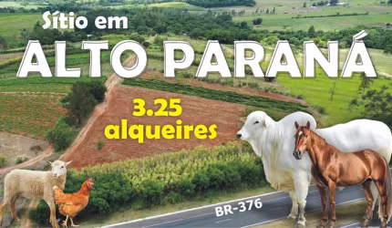 SÍTIO À VENDA EM ALTO PARANÁ - PR