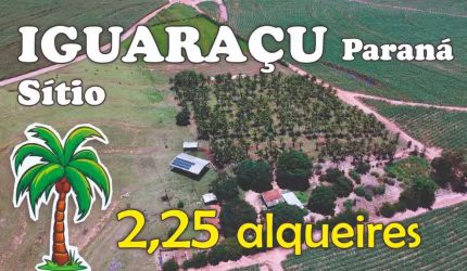 SÍTIO EM IGUARAÇU com 2,25 alqueires
