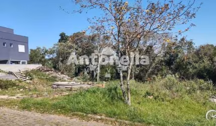 Terrenos à venda no Bairro São Luiz