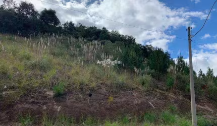 Terreno à venda  no Desvio Rizzo