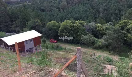 Terreno à venda no bairro Desvio Rizzo