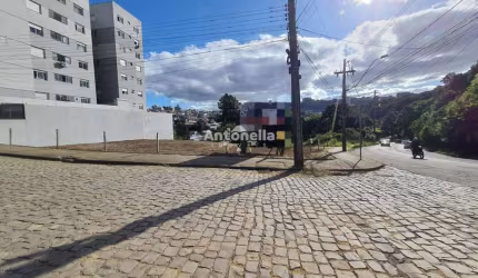 Terreno Comercial à venda  no São Luiz