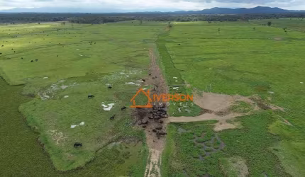 Fazenda para venda em Registro