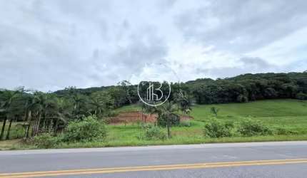 Terreno com 36.000m² na Rod. do Arroz sendo 260m de frente