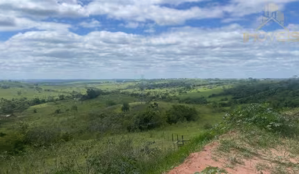 Fazenda à Venda em Região Bauru/SP - 155 Alqueires, pecuária