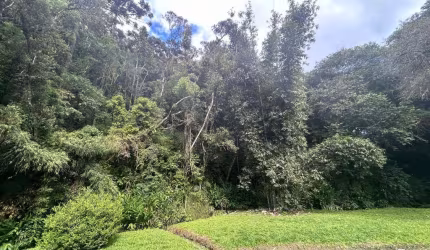 Chácara para Venda em Campina Grande do Sul, Taquari