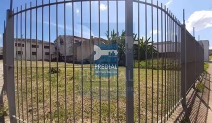 Terreno Residencial 0 quarto para Locação Jardim São Carlos, São Carlos