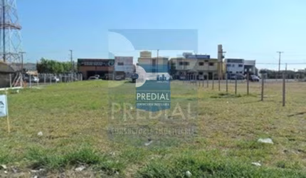 Terreno Residencial 0 quarto para Locação Vila Lutfalla, São Carlos