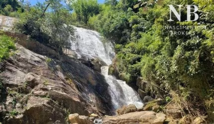 Fazenda/Sítio/Chácara para venda possui 20000 metros quadrados em Centro - Coronel Pacheco