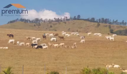 Fazenda à venda, 968000 m² por R$ 15.000.000,00 - Anhumas - Vargem/SP
