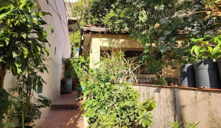 2 casas alugadas!! Oportunidade para renda!