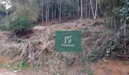Terreno à venda, 1250 m² por R$ 650.000 - Vargem Grande - Teresópolis/RJ