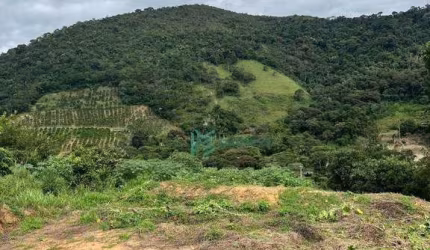 Terreno à venda, 1590 m² por R$ 99.900,00 - Providência - Teresópolis/RJ
