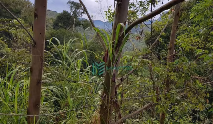 Terreno à venda, 2938 m² por R$ 150.000 - Prata - Teresópolis/RJ