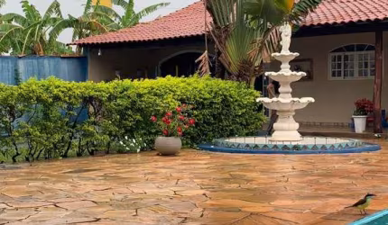 Chácara com 5 quartos, 7000m², à venda em São José do Rio Preto, Vila Azul (Zona Rural)