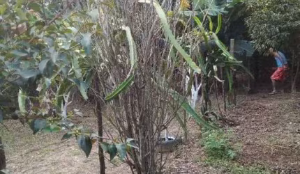 Chácara com 2 dormitórios à venda, 1000 m² por R$ 180.000,00 - Leites - Piedade/SP