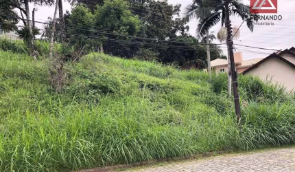 Terreno à venda, 347 m² por R$ 570.000,00 - Salto - Blumenau/SC