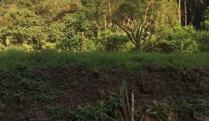 Terreno à venda, 30776 m² por R$ 400.000,00 - Centro - Luiz Alves/SC