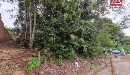 Terreno à venda, 431 m² por R$ 450.000,00 - Escola Agrícola - Blumenau/SC