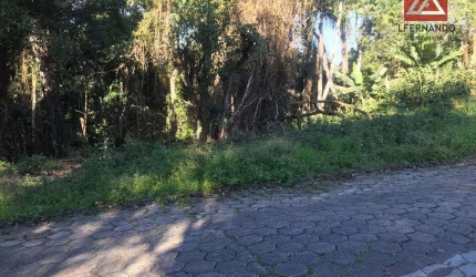 Terreno à venda, 1461 m² por R$ 250.000,00 - Garcia - Blumenau/SC