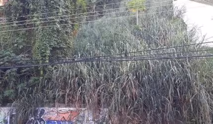 Terreno em Jardim Guanabara  -  Rio de Janeiro
