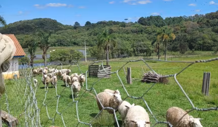 Sito/Chácara 104.500 M² Fazenda Rio Grande/PR