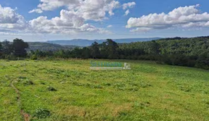 Terreno à venda, 570000 m² por R$ 2.600.000,00 - Santa Cruz da Concórdia - Taquara/RS