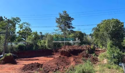 Terreno com 9811m² na RS20 em frente ao Laranjal