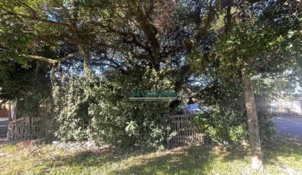 Terreno à venda, 384 m² por R$ 250.000,00 - Vila Fátima - Cachoeirinha/RS
