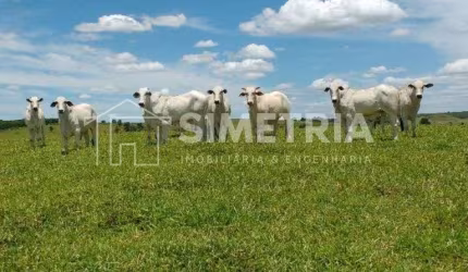 TERRAS EM ANHEMBI/SP, PRONTAS PARA PASTO!  ÁREA TERRENO 26 ALQUEIRES PAULISTA