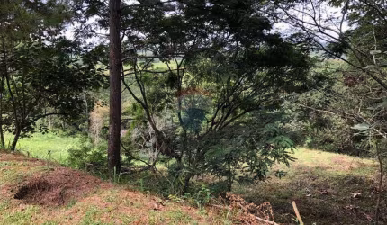 Terreno Perfeito em Santa Isabel, 1000m² à Venda!