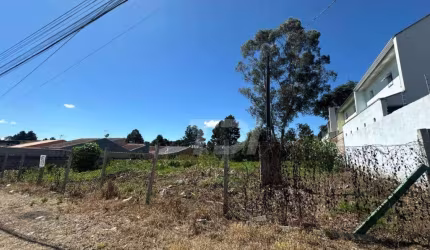 Terreno à venda, 1200 m² por R$ 1.200.000,00 - Roseira - São José dos Pinhais/PR