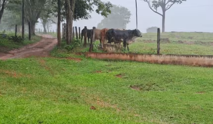 Belíssima chacara com 5 suites toda em laje, juntamente aos 72,600m