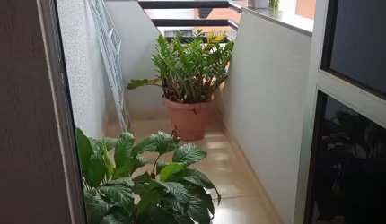 Apartamento no Jardim Bela Vista 2/4