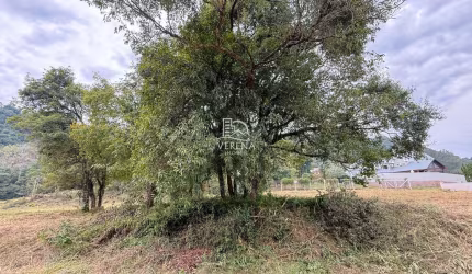 EXCELENTE TERRENO NO SANTA INÁCIO