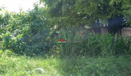 Terreno à venda, 500 m² por R$ 360.000,00 - Golfinho - Caraguatatuba/SP