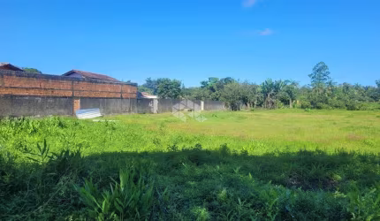 Tapera, Terreno plano com 4.460m²