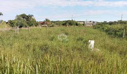 VENDO TERRENO NA PRAIA DO ERVINO, SÃO FRANCISCO DO SUL/SC