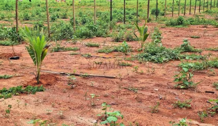 Chácara para Venda em Governador Valadares, Área Rural de Governador Valadares