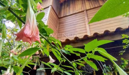 Terreno à venda na Travessa Padre Feijó, 91, Tarumã, Curitiba, 360 m2 por R$ 800.000