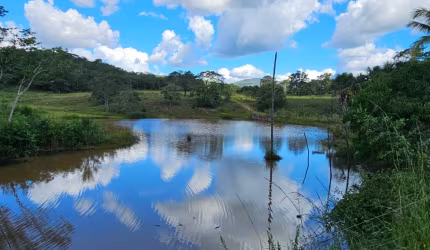Fazenda Pirinópolis SOJA