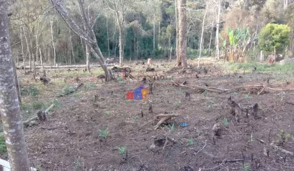 Chácara de 2.102 M² Em Quatro Barras Bairro Palmitalzinho
