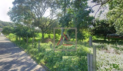 Terreno à venda, 6844 m² por R$ 5.500.000,00 - Cachoeira do Bom Jesus - Florianópolis/SC